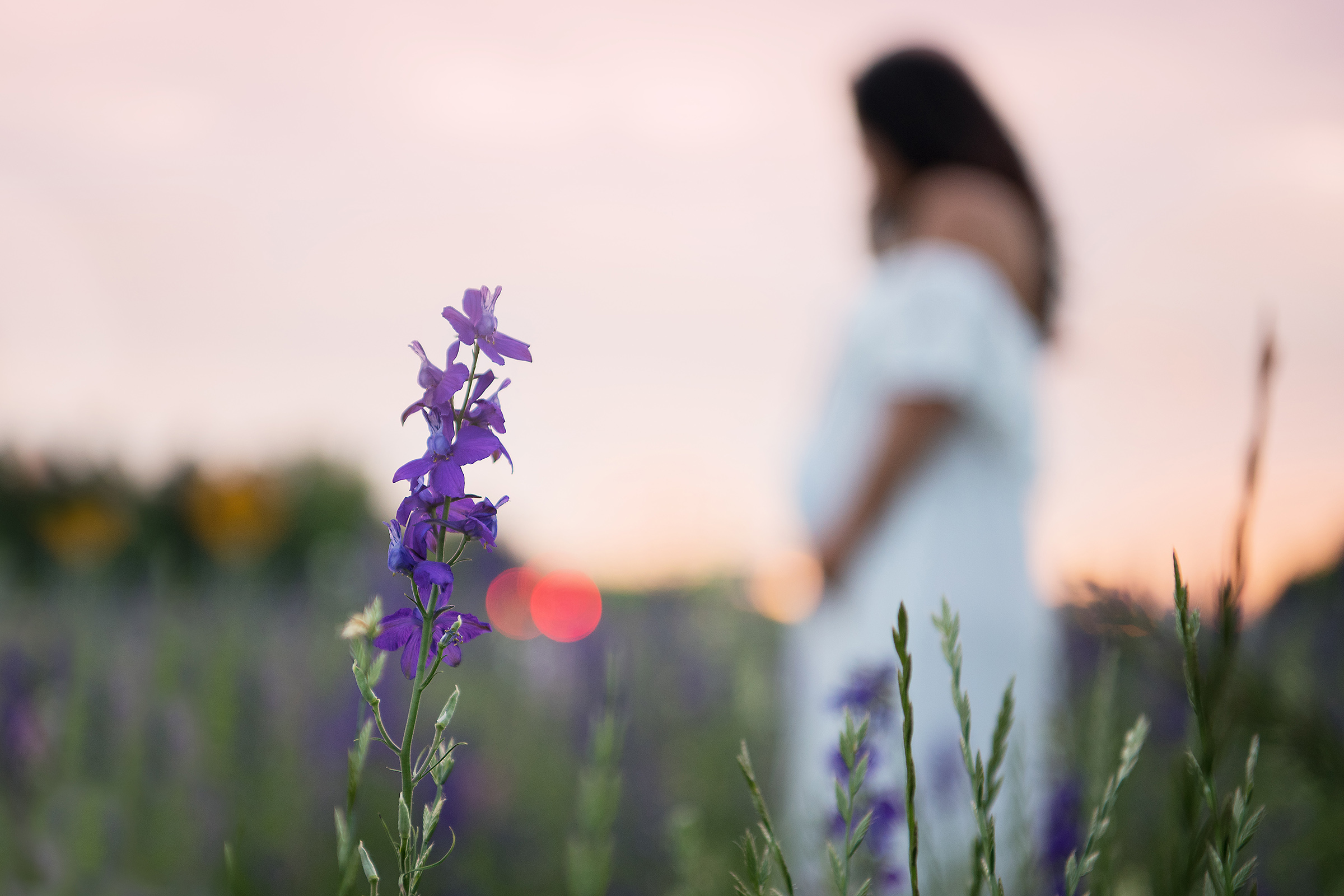 Sunset Maternity Photos