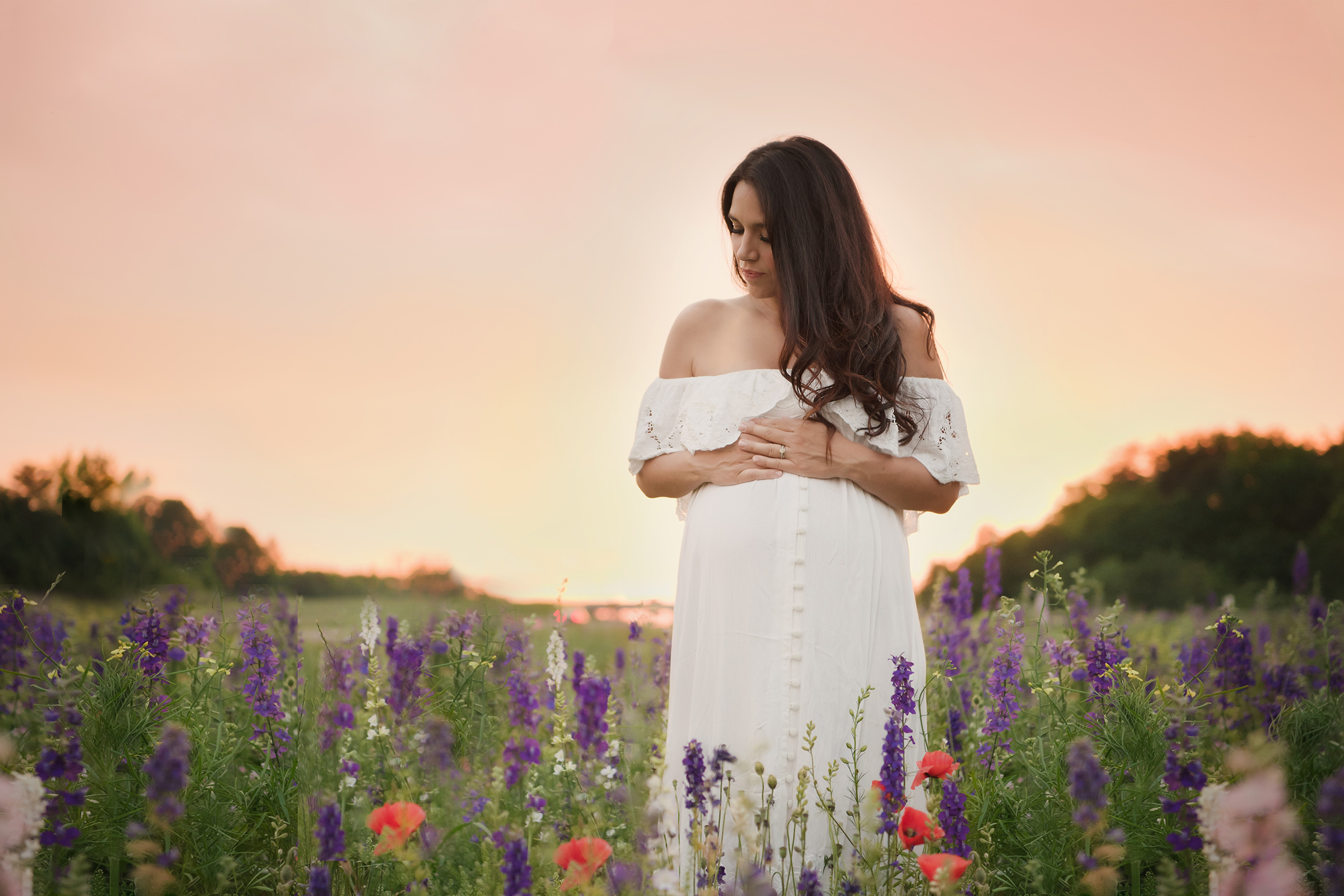 baby bump at sunset in a field of flowers